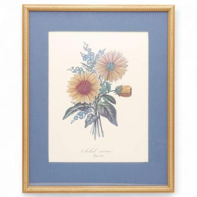 Framed Botanical Print of “Soleil Vivace – Myosotis” Flowers
