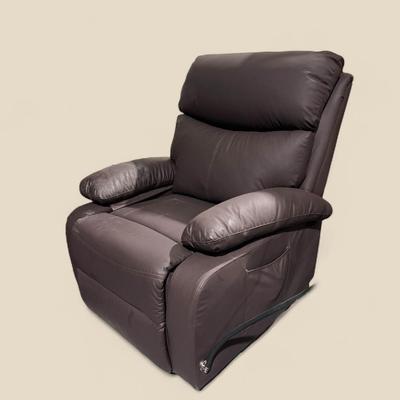 Power Lift Recliner