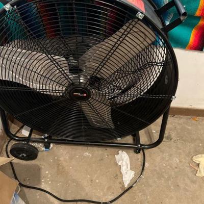 Fan