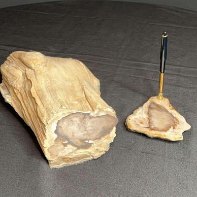 Petrified Wood