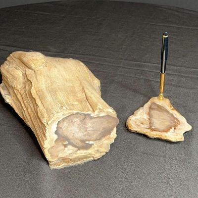 Petrified wood