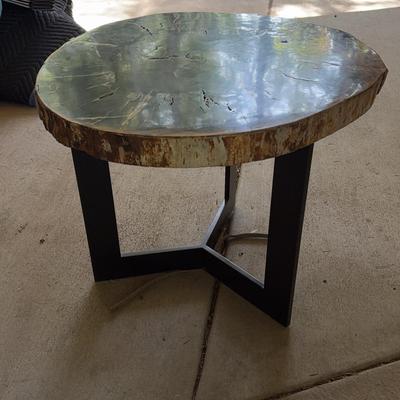Petrified Wood Top Table #2