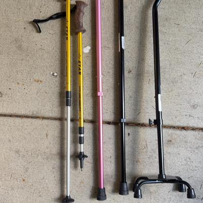 Walking Sticks