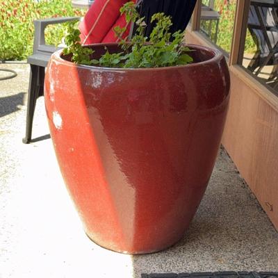Large Ceramic Planter 