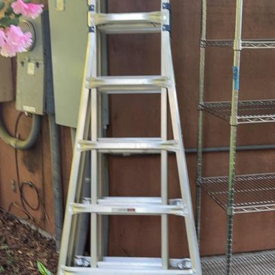 Werner Multi-Position Folding Ladder With Rails