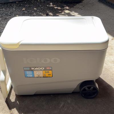 Igloo Cooler