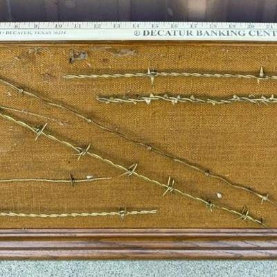 Small Framed Barbed Wire Display