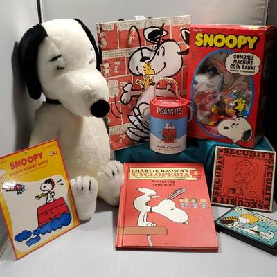 Joe Cool Snoopy Misc.