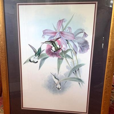 Large, Hummingbird Painting