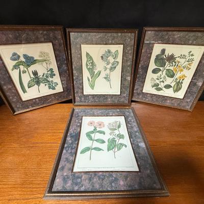 The Bombay Co. Reproduction Of The Edwards Botanicals