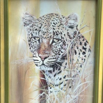 Commercial Safari Art