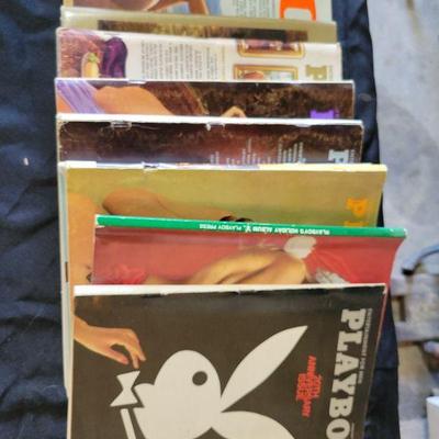 Bunny Books 