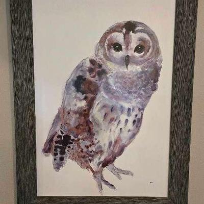 Owl Picture 