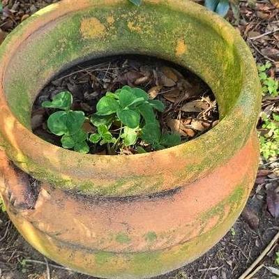 Large Terracotta Flower Pot