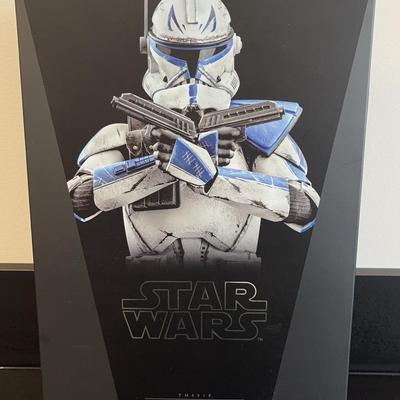 Hot Toys Star Wars Captain Rex Action Figure