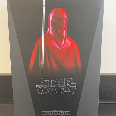 Hot Toys Star Wars Royal Guard Action Figure