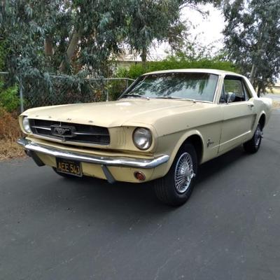 1965 Mustang daily driver: $15,000.00.
For Sale by Owner
+1 (209) 761-6630

