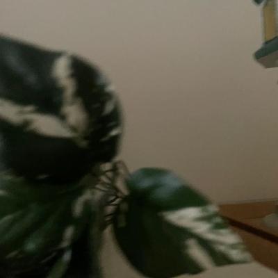 Sale Photo Thumbnail #212