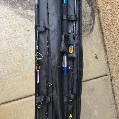 Cg131 nomad deep sea rod