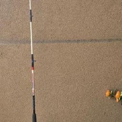 Cg108 fishing rod and reel