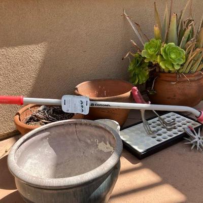 Cg127 spring gardening