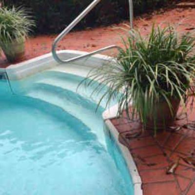 Potted plants