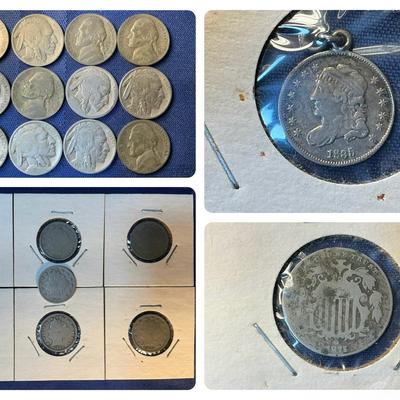 Nickel Collection - V Nickel, Buffalo, Half-Dime (C29)