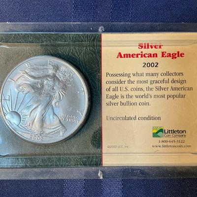 2002 American Silver Eagle (C13)