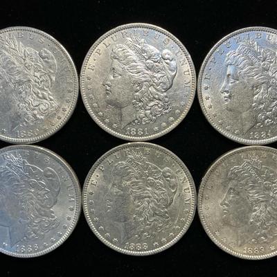 Six Morgan Silver Dollars (C36)