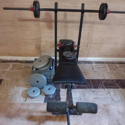 Weight Bench