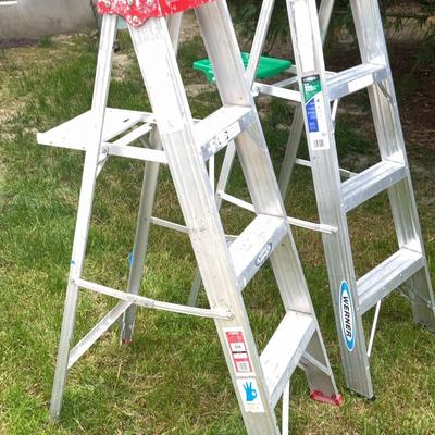 Pair Of Ladders 