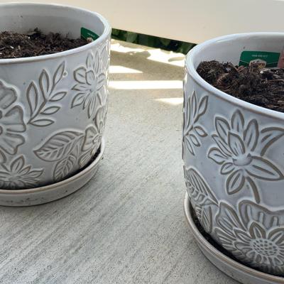 Pair Of White Floral Planters