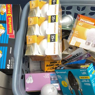 Lot Of Light Bulbs 