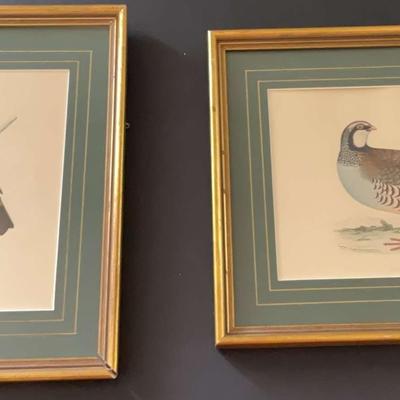 Pair Of Framed Bird Prints