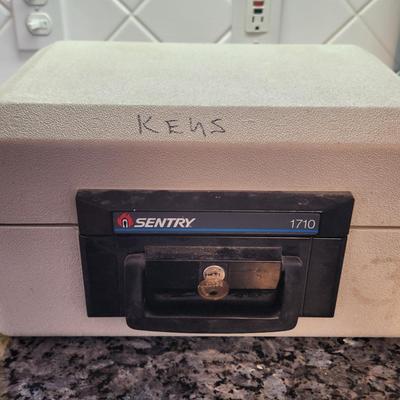 Sentry Safe