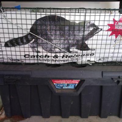 Racoon Trap And Utility box