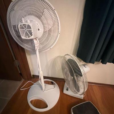 Fans