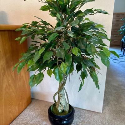 Faux Ficus Tree in Black Ceramic Pot – Twisted Trunk Design	