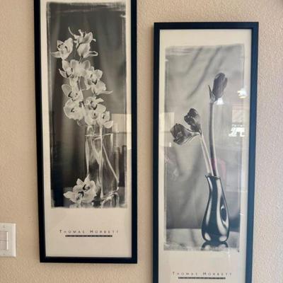 Pair of Thomas Horbett Floral Prints – Amaryllis & Orchid Stems	