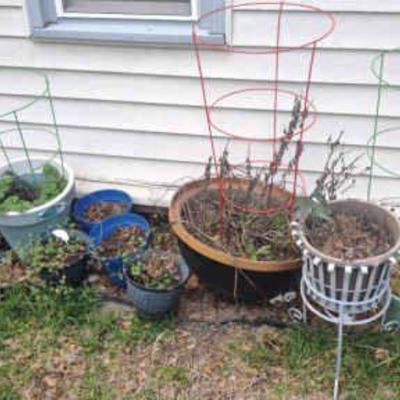 Flower pots