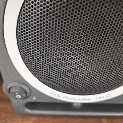 Focal professional speakers