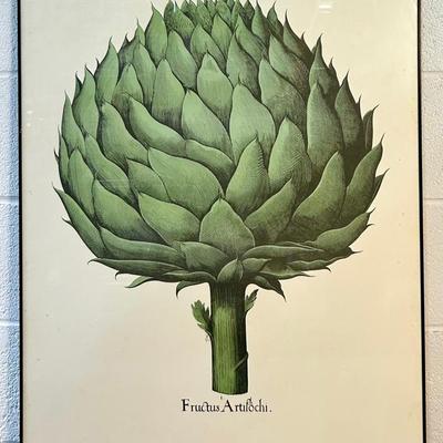 Artichoke Poster From New York Garden Print Series - Hortus Eystettenis 1617, Framed 35x24”