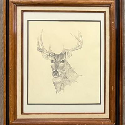 Original B. Kadlub 1981 Pencil Drawing Buck In Glass Front Frame