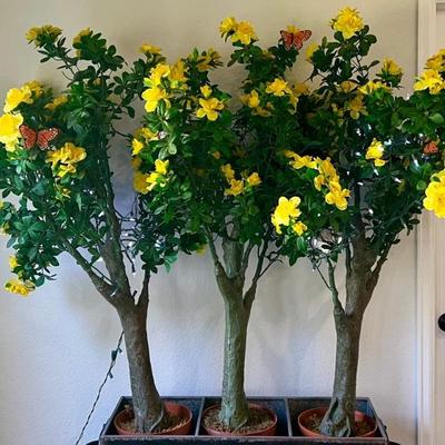 (3) 5 Foot Faux Azalea Plants With Heavy Baes And Light Strand