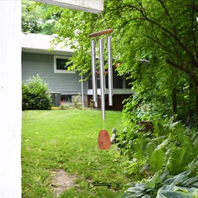 540 back yard