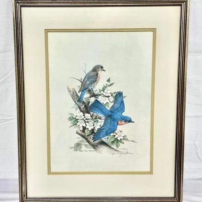 Roger Tory Peterson Signed Print 172/950