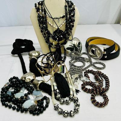 Large Lot of Chicos & More Necklaces in Hues of Black