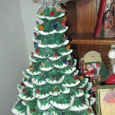 Steffans xmas lighted tree