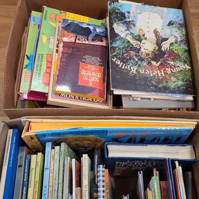 CHILDREN'S PICTURE BOOKS MYSTERY LOT 1