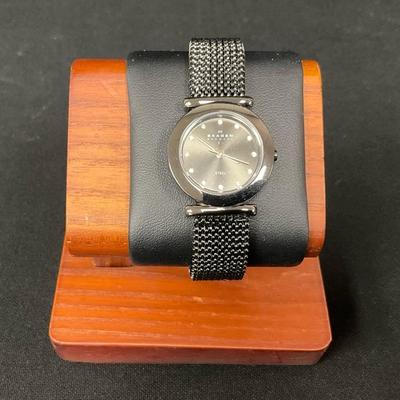 Skagen Denmark Steel Watch 